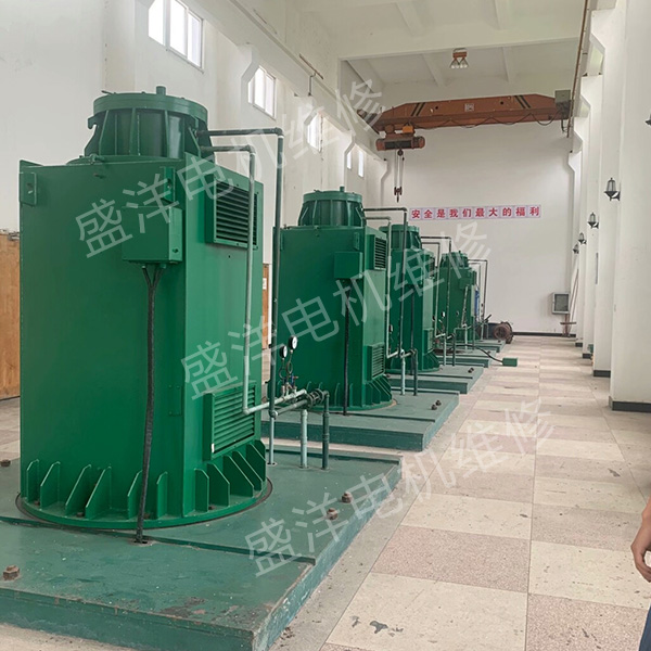 安徽专业维修电机